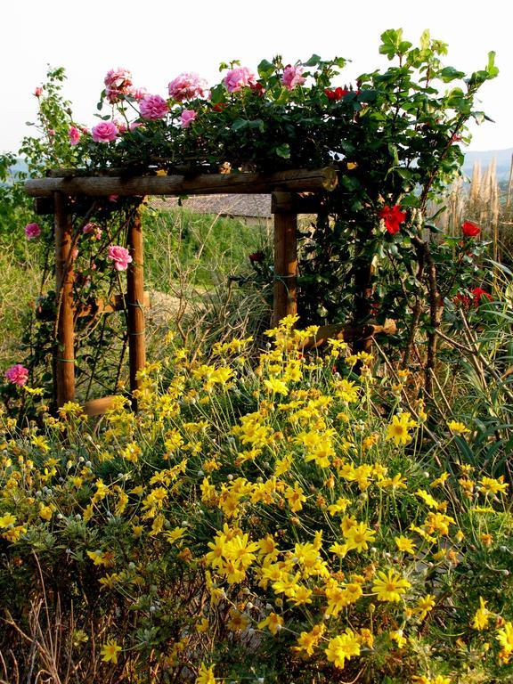 Poggio Della Quercia Villa Manciano Dış mekan fotoğraf