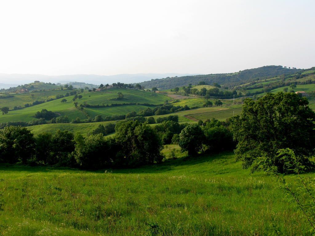 Poggio Della Quercia Villa Manciano Dış mekan fotoğraf